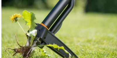 Эффективные решения для борьбы с сорняками: как выбрать подходящий садовый инструмент